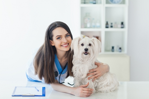 Is Pet Insurance Right for You?